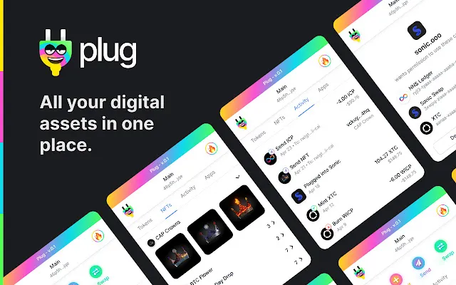 Plug Wallet extension